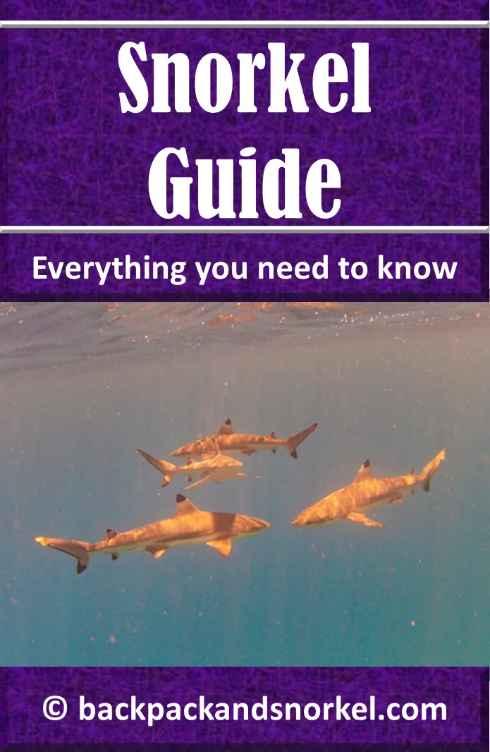 Snorkel Guide - Snorkeling Purple Travel Guide