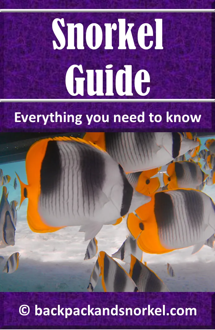 Snorkel Guide - Snorkeling Purple Travel Guide