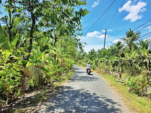 photo of the rural Vietnam countryside taken from a moving motorcycle near Ben Tre in Vietnam.
