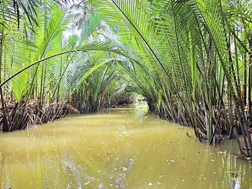 narrow and overgrown Mekong side arm during a Mekong River cruise in Vietnam