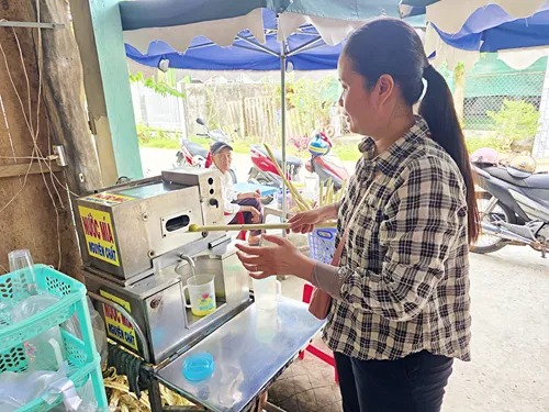 woman putting a sugar cane and cumquats into a juicer to make cane juice near Ben Tre in Vietnam