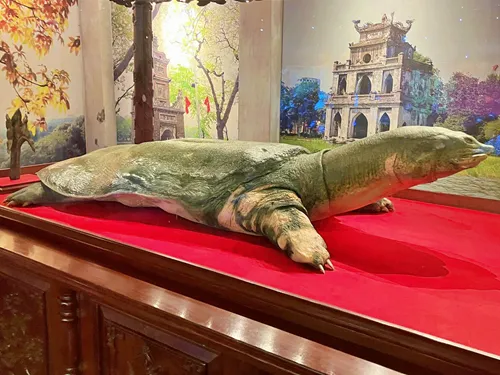 Ngọc Sơn Temple (Temple of the Jade Mountain) in Hanoi in Vietnam