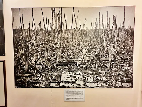 enlarged photo of a dead forest and a small child after agent orange has removed all the leaves from the trees.  The photo is exhibited at the War Remnants Museum in Ho Chi Minh City, Vietnam