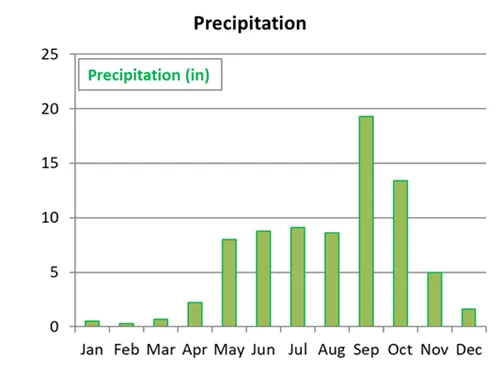 Average precipitation by month for Ho Chi Minh City in Vietnam