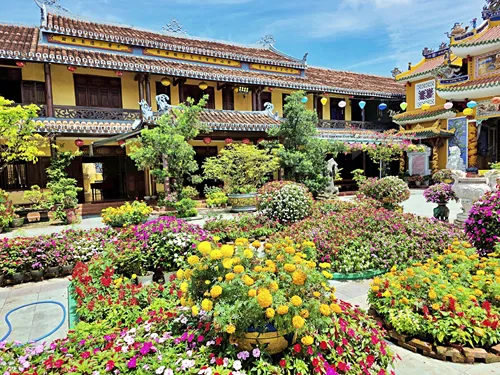 Pháp Bảo Temple in Hoi An in Vietnam