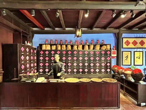 exhibits at the Museum of Traditional Medicine in Hoi An in Vietnam