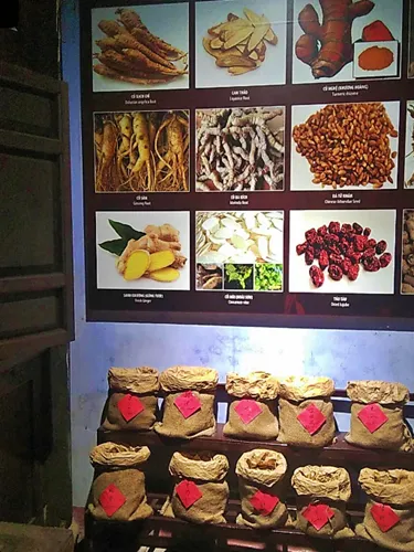 exhibits at the Museum of Traditional Medicine in Hoi An in Vietnam