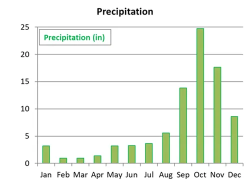 Average precipitation by month for Da Nang and Hoi An in Vietnam