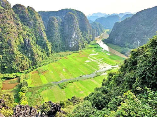 view of rice fields from Hang Mua in Ninh Binh in Vietnam