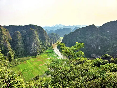 rice fields seen from hang Mua in Ninh Binh in Vietnam