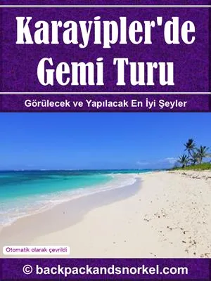 Cruising the Caribbean Purple Travel Guide