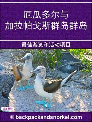Ecuador & Galapagos Purple Travel Guide