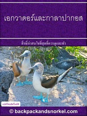 Ecuador & Galapagos Purple Travel Guide