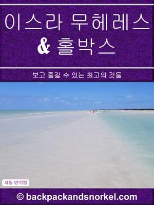 Isla Mujeres & Holbox Purple Travel Guide