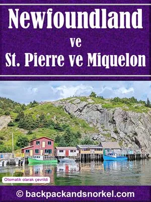 Newfoundland, St. Pierre and Miquelon Purple Travel Guide