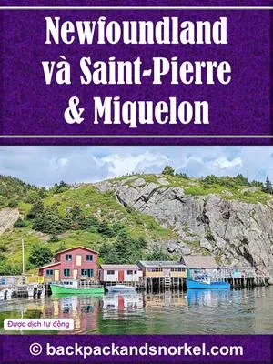 Newfoundland, St. Pierre and Miquelon Purple Travel Guide