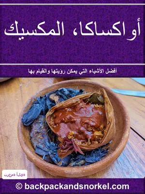 Oaxaca Purple Travel Guide