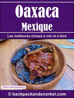 Oaxaca Purple Travel Guide