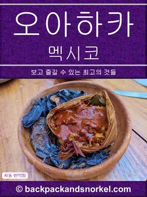 Oaxaca Purple Travel Guide