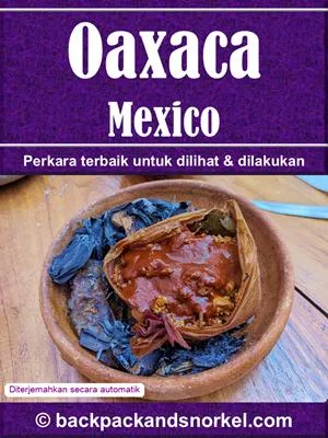 Oaxaca Purple Travel Guide