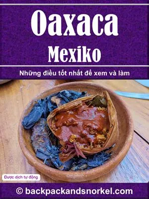 Oaxaca Purple Travel Guide