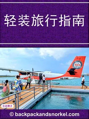 Travel Light Purple Guide