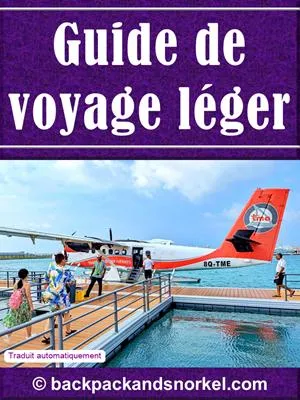 Travel Light Purple Guide
