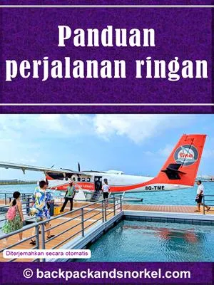 Travel Light Purple Guide