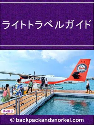 Travel Light Purple Guide