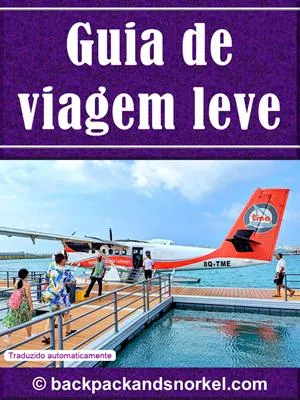Travel Light Purple Guide