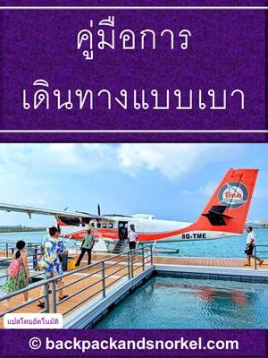 Travel Light Purple Guide