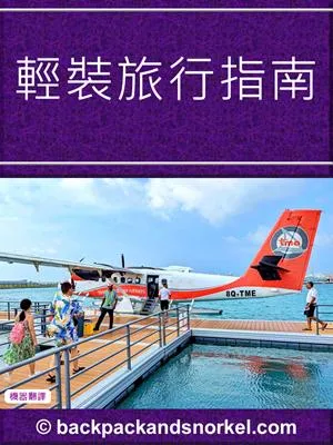 Travel Light Purple Guide