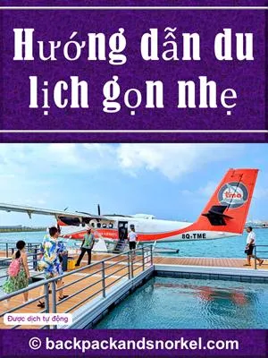 Travel Light Purple Guide