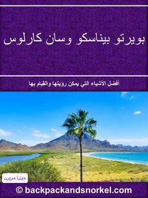 Puerto Penasco & San Carlos Purple Travel Guide