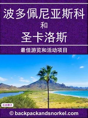 Puerto Penasco & San Carlos Purple Travel Guide