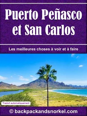 Puerto Penasco & San Carlos Purple Travel Guide