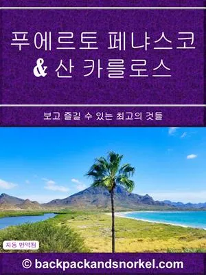 Puerto Penasco & San Carlos Purple Travel Guide