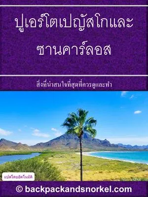 Puerto Penasco & San Carlos Purple Travel Guide