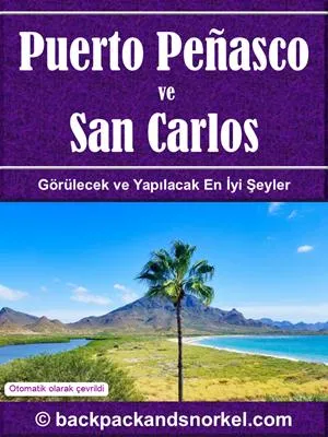Puerto Penasco & San Carlos Purple Travel Guide