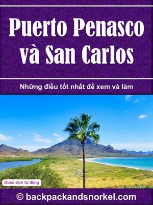 Puerto Penasco & San Carlos Purple Travel Guide