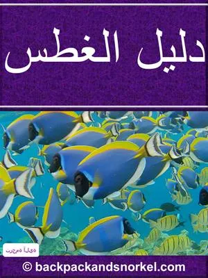 Snorkel Guide