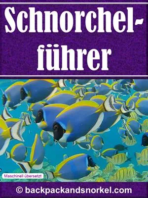 Snorkel Guide