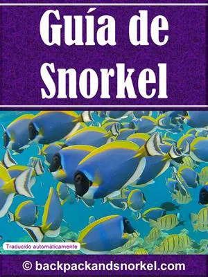Snorkel Guide