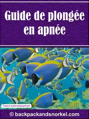 Snorkel Guide