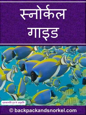 Snorkel Guide
