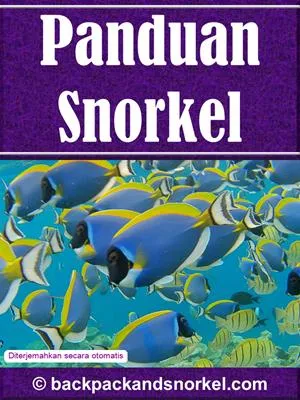 Snorkel Guide