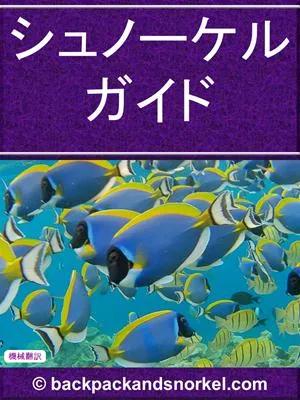 Snorkel Guide
