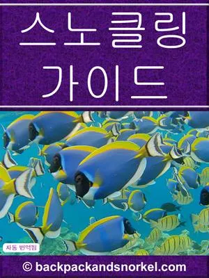 Snorkel Guide