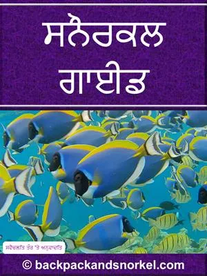 Snorkel Guide