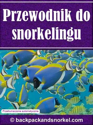Snorkel Guide